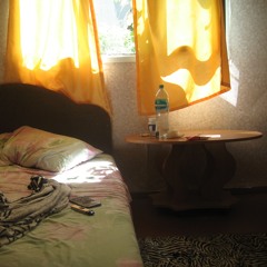 система/голуби