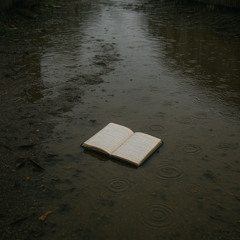 Puddles & Empty Pockets