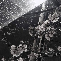 THƯƠNG THÌ THÔI STYLE HUY PT - Qziet remix