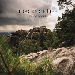 Tracks of Life
