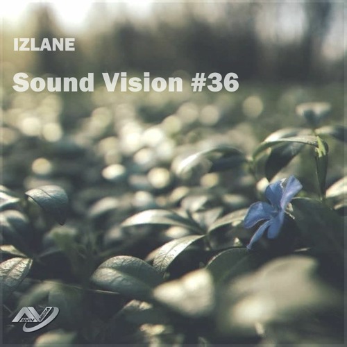 Sound Vision #36