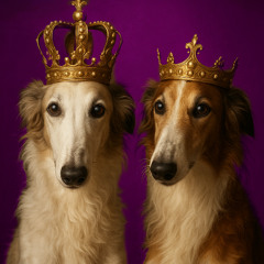 Quick Speed Coronation