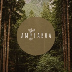 AMITABHA SESSIONS  🪭
