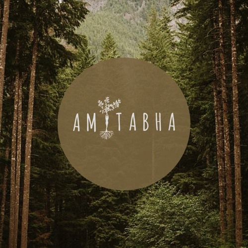 AMITABHA SESSIONS  🪭