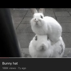 everyone asked abt u    །.𓏼    sometimes my memory fails me sometimes intro slowed