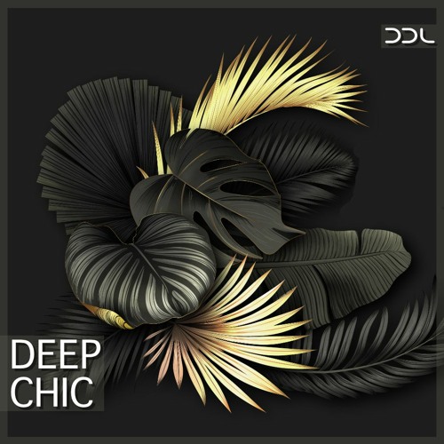 Deep Data Loops - Deep Chic