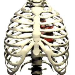 ohm (prod.prodnathin)