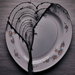cracks in silence.