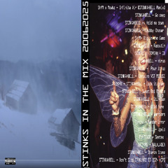 STINKS IN THE MIX 20062026