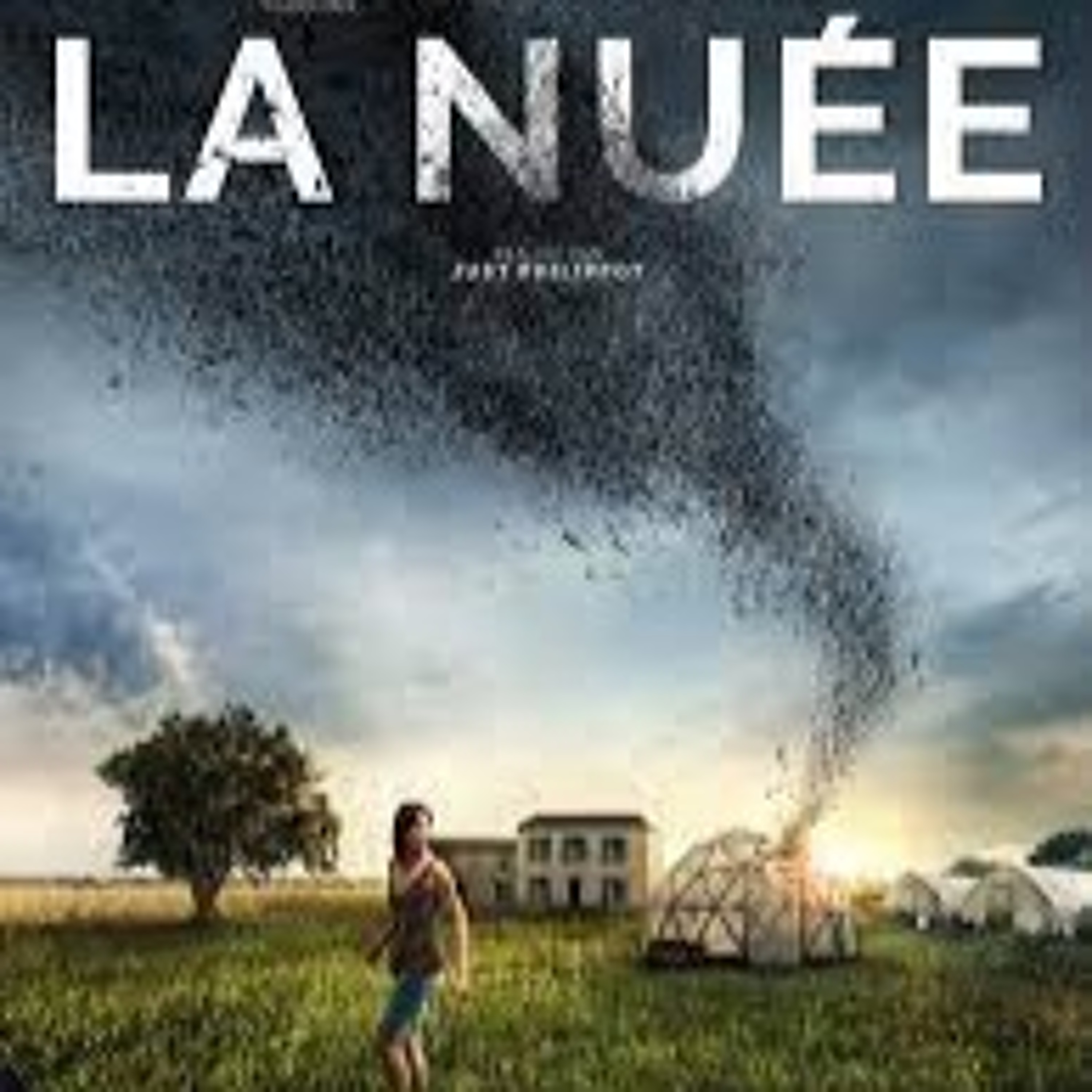 Cinerature