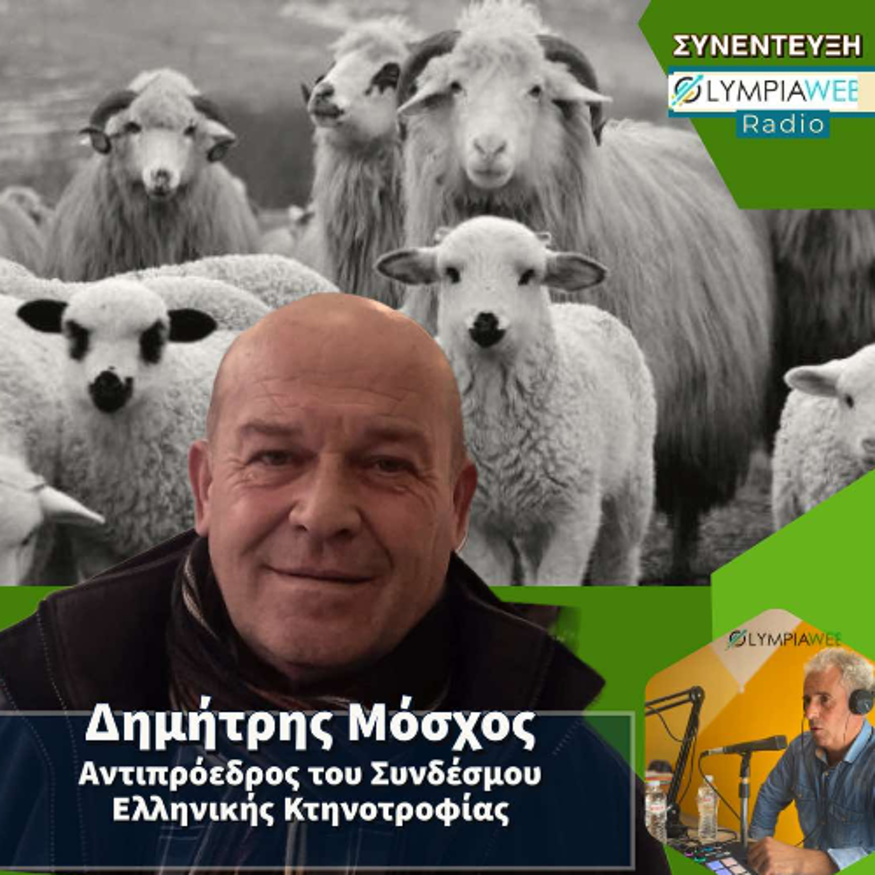 Ευλογιά των προβάτων: Έκκληση για μέτρα κάνουν οι κτηνοτρόφοι episode artwork