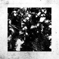 PREMIERE: CTAFAD - Chiaroscuro (Atomic Moog Remix) [GSXS]