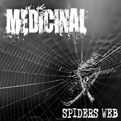 Spiders Web