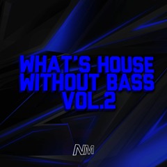 What's House Without Bass Vol. 2