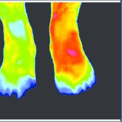 Cold Feet (prod. by INBLOOM)