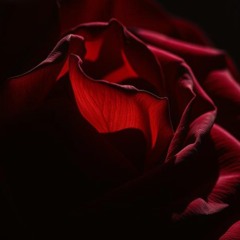 Darkness
