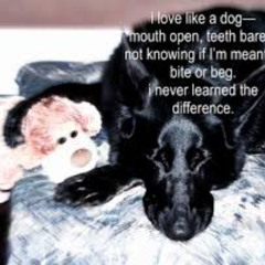 རོ་ཁྱི་རོ་ཁྱི་རོ་ཁྱི་རོ་ཁྱི་རོ་ཁྱི་རོ་ཁྱི་རོ་ཁྱི་རོ་ཁྱི་རོ་ཁྱི་རོ་ཁྱི་རོ་ཁྱི་རོ་ཁྱི་རོ་ཁྱི་རོ་ཁྱི་རོ་ཁྱི་རོ་ཁྱི་རོ་ཁྱི་རོ་ཁྱི་རོ་ཁྱི་རོ་ཁྱི་རོ་ཁྱི་རོ་ཁྱི་