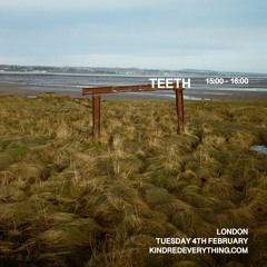 TEETH 4.2.25