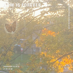 now is forever w/ lillerne tapes - 10.13.22