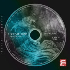 PREMIERE: Bestami Turna - Walking Wolf (Findike Remix) [Findike Records]
