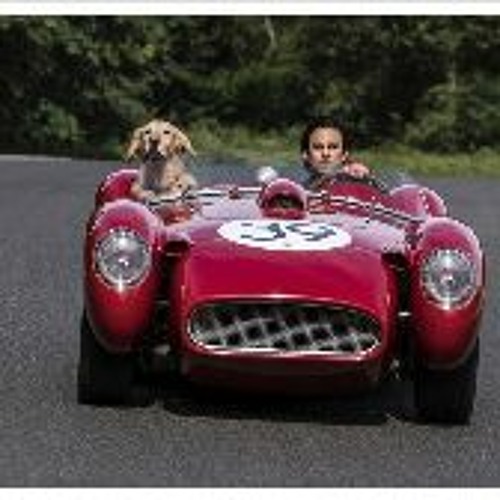Stream The Art of Racing in the Rain 2019 FuLLMovie in MP4 720