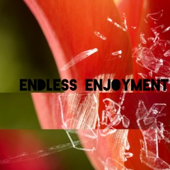 Endless enjoyment