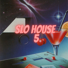 SLO HOUSE 5 (Party Mix 5) House/EDM