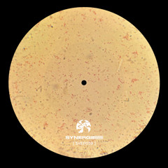SYN Premiere: Tommaso Arcuri - Veleno Per La Mente IV [SYEP039]