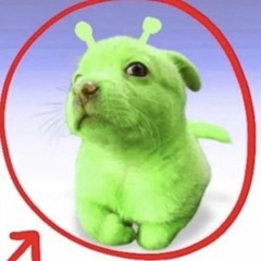Hit2.m4a.webp.jpg.winrar.7z.glarbingle