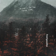mr.neab & Jav Cast - forest lullaby