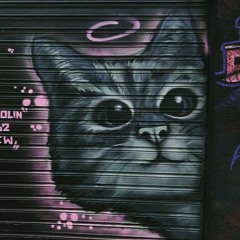 Catface - Worldcat #1