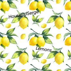 HouseDJSerge £ Lemons