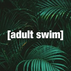 BADBADNOTGOOD- Time Moves Slow (pitch and sped up) [Adult Swim]