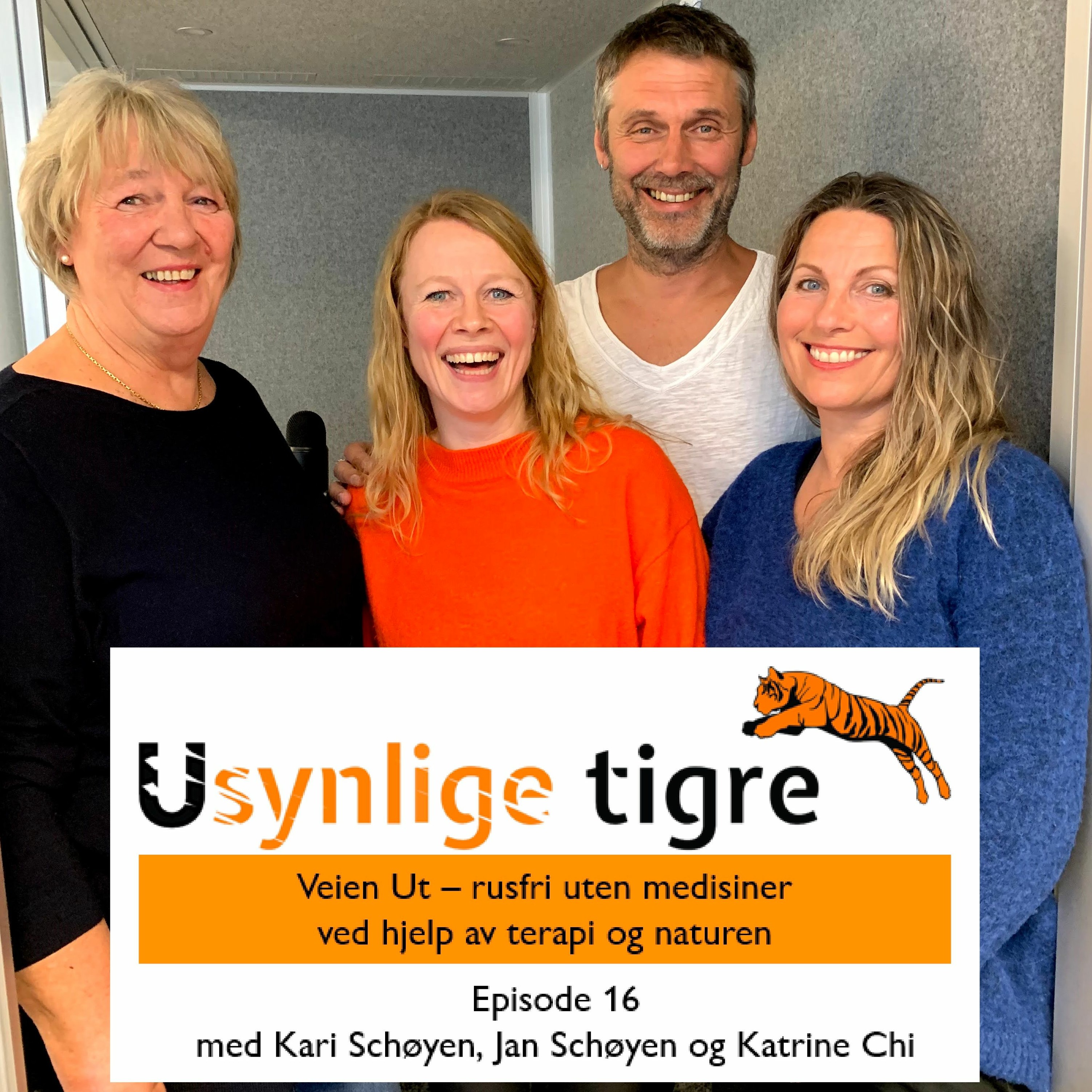 Usynlige tigre-podden