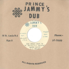 She Broad Bout Ya (Dub Version)