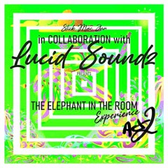 The Elephant in the Room Experience Act 2 (Prod. by Lucid Soundz)