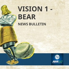 News Bulletin 17 - Vision 1 - Bear