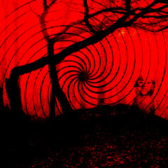 Lost in the Distorted Woods