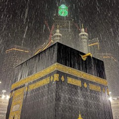 إليكَ وإلا لا تُشَدُّ الركائِبُ __ أحمد النفيس.mp3