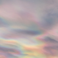 Pinkrain (feat. skrta)