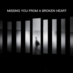 Missing You From A Broken Heart