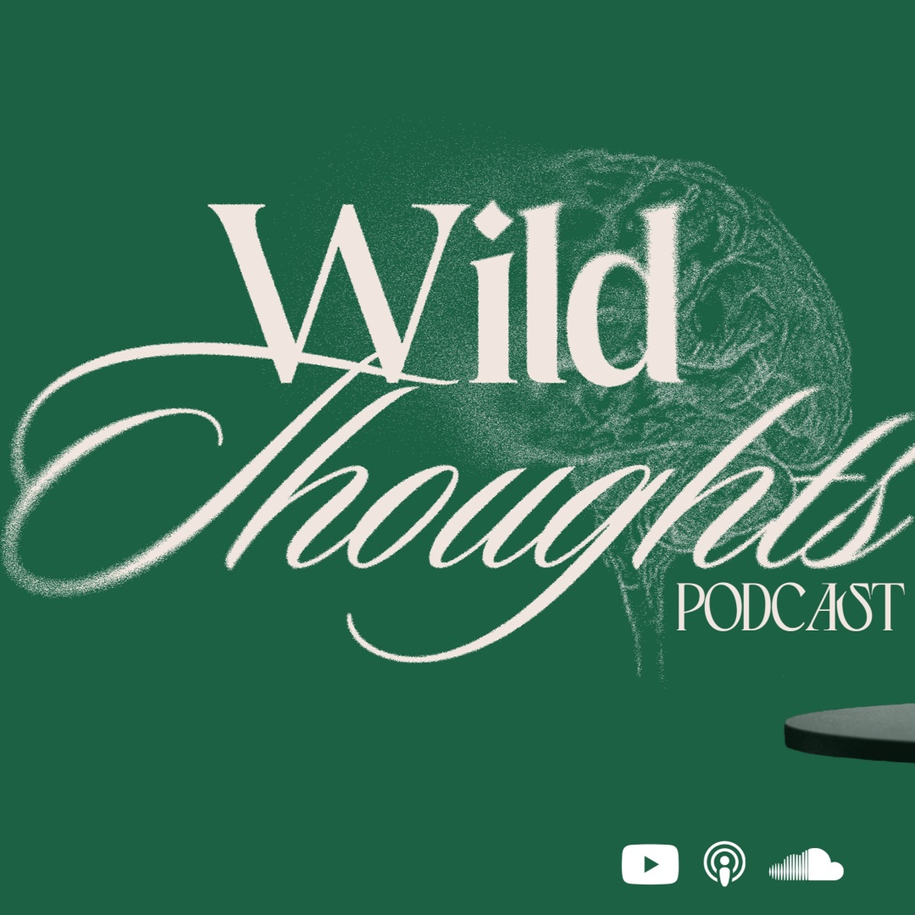 wild thoughts. 004 episode artwork