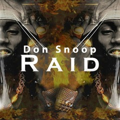 Don Snoop - Raid