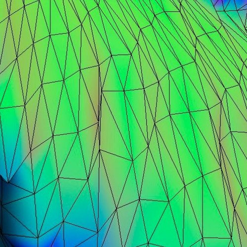 João MS & Senglar - Noxin Curvatures