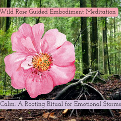 BPD To Bliss - From Chaos to Calm: A Rooting Ritual for Emotional Storms