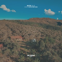Nii Tei - Blue (Eyes of Night (EON) Remix) [3rd Avenue]