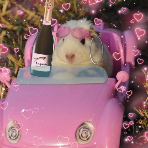 Yannick (Leopardo's Hopsnahme Edit)