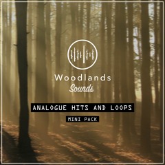 Analogue Drum Hits & Loops