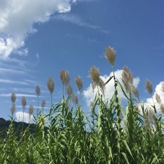 무주 (MUJU)
