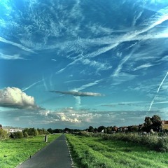 Lets take a walk